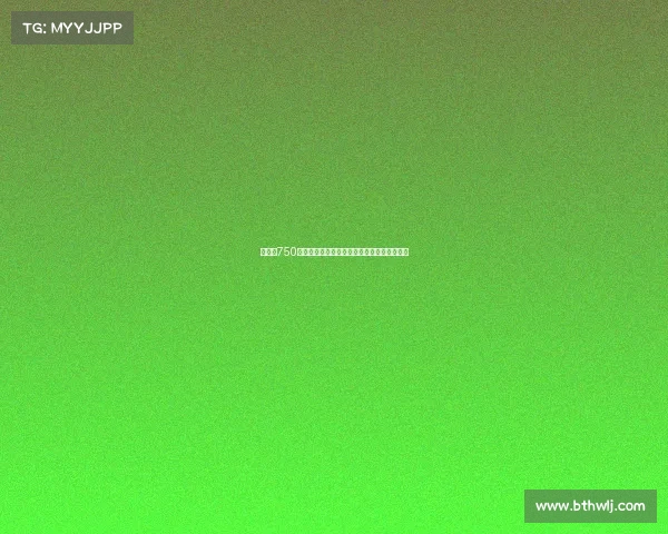 里昂以750万欧签下捷克国脚攻击手舒尔茨强化进攻阵容